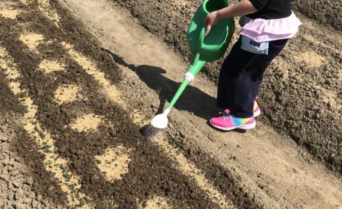 篠栗町の畑で農業体験
