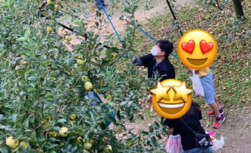 りんご狩り（チャレンジはうす）